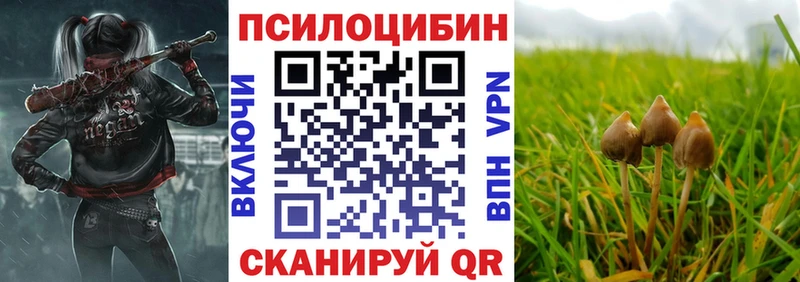Галлюциногенные грибы Magic Shrooms  гидра сайт  Плавск 